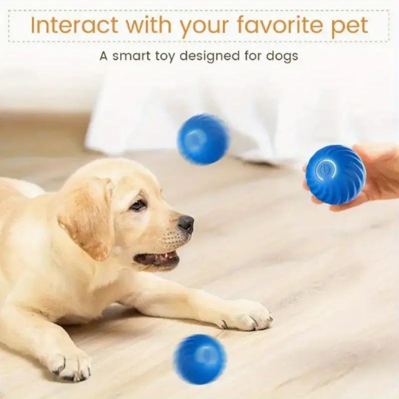 Pet Bouncing Ball Fun Pet Bouncing Ball For Cats And Dogs, Self-pickup Only