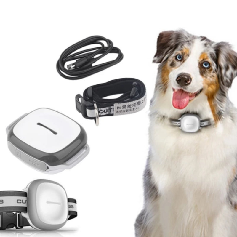 Collared Cat Dog Tracker Pet Locator Pet