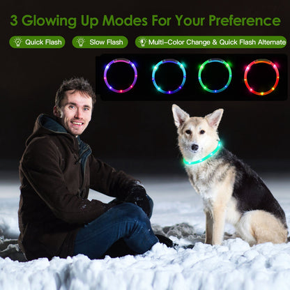 Lighting Dog Safety Collar Cuttable Dog Night Walking