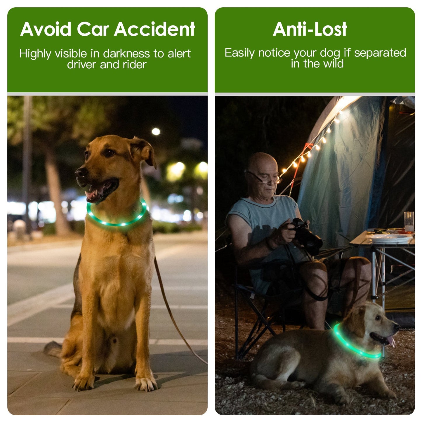 Lighting Dog Safety Collar Cuttable Dog Night Walking